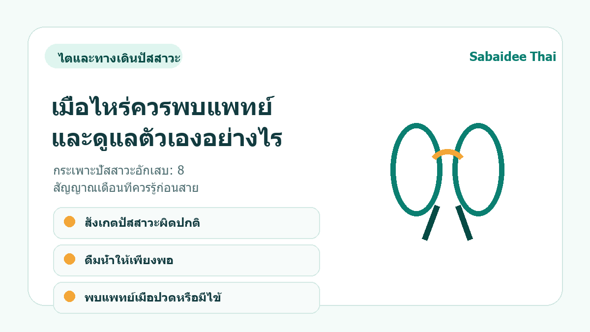 กระเพาะปัสสาวะอักเสบ: 8 สัญญาณเตือนที่ควรรู้ก่อนสาย การดูแลเบื้องต้น