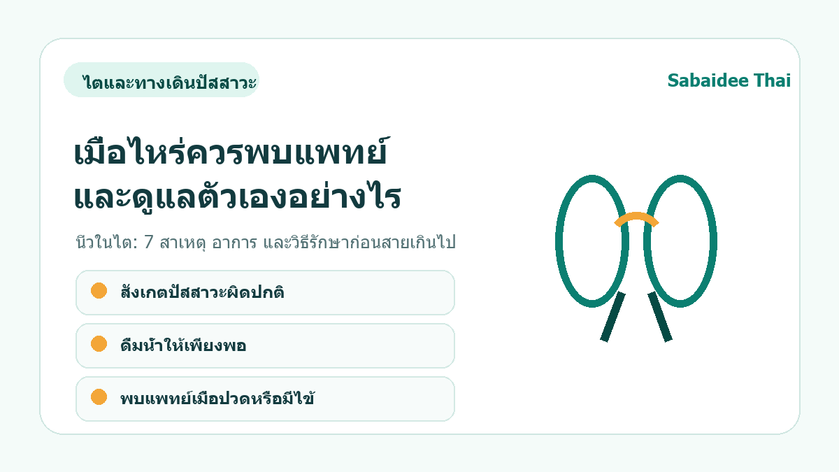 นิ่วในไต: 7 สาเหตุ อาการ และวิธีรักษาก่อนสายเกินไป การดูแลเบื้องต้น