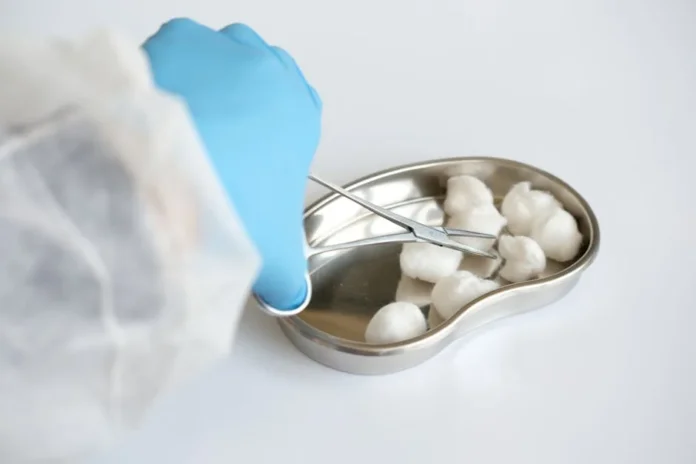 Close-up of latex gloved hand using forceps to handle cotton balls in a kidney dish.