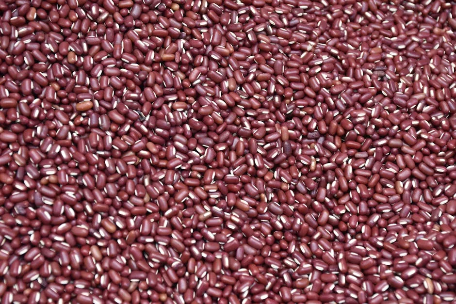 A detailed close-up of red kidney beans, showcasing their texture and color.