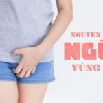 vaginal itching causes treatment