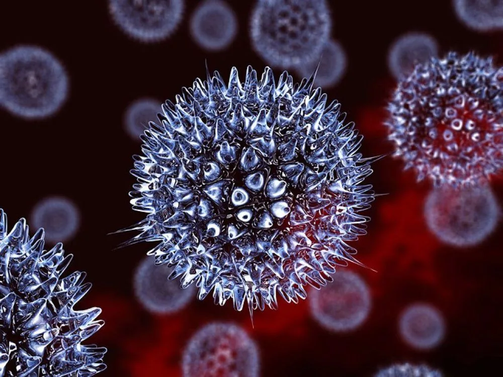 ไวรัส Herpes Simplex 1 ที่เป็นสาเหตุของเริมที่อวัยวะเพศ